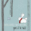 Cover Year of the Rabbit