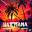 Cover Haa Mana (feat. Aremistic)