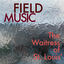 Cover The Waitress of St Louis'