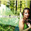 Cover The Fairy Garden