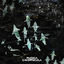 Cover Deep Variations