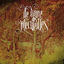 Cover Le livre des merveilles