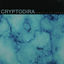 Cover Genesis of Error