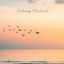 Cover Calming Classical