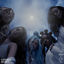 Cover Y