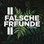 Cover Falsche Freunde 2