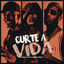 Cover Curte a Vida