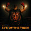 Cover Eye of the Tiger (Survive)