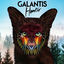 Cover Hunter