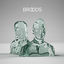 Cover Broods