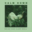 Cover Calm Down, Relax and Sleep Well. Nice Music to Listen to Before Bedtime. New Age Songs