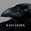 Cover Salvation