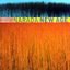 Cover Best Of Narada New Age