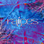 Cover Raices