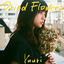 Cover Dried Flowers English Version