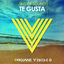 Cover Te Gusta