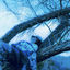 Cover Winters End