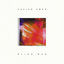 Cover Blind Man