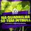 Cover Na Quadrilha Só Tem Pitbull