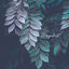 Cover Droppar
