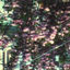 Cover Confinée