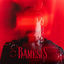 Cover BAMESIS