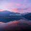 Cover Stillness