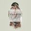 Cover Closer