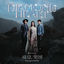 Cover Diamond Heart