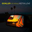 Cover Not In Love