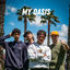 Cover My Oasis