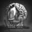 Cover Matiere grise