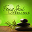 Cover Feng Shui Feelings