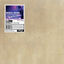Cover Cherry Blossom / Beautiful Mind