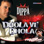 Cover Dhola Ve Dhola