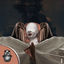 Cover Moroccan Sahara