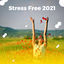 Cover Stress Free 2021