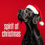 Cover spirit of christmas