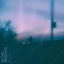 Cover in the absence