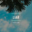 Cover Liar