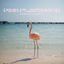 Cover Pink Flamingos