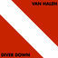 Cover Diver Down (Remastered)