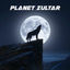 Cover Planet Zultar