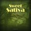 Cover Sweet Sativa Riddim