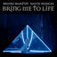 Cover Bring Me To Life
