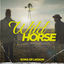 Cover Wild Horse