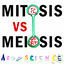 Cover Mitosis vs Meiosis Rap Battle