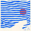Cover The Striped Album
