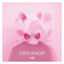 Cover Raop +5