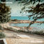 Cover Summertime